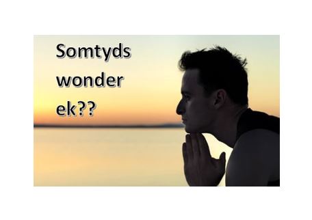 Somtyds Wonder Ek